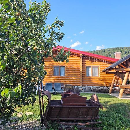 Cabana Alesia, Relaxare La Poalele Raraului Campulung Moldovenesc Ngoại thất bức ảnh
